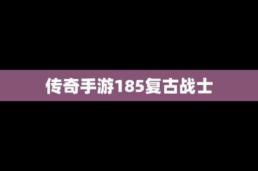传奇手游185复古战士