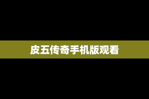 皮五传奇手机版观看