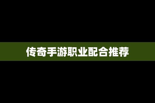 传奇手游职业配合推荐
