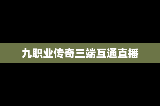 九职业传奇三端互通直播