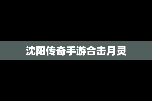 沈阳传奇手游合击月灵