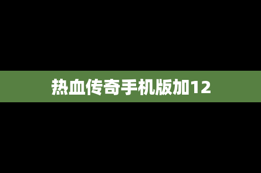 热血传奇手机版加12