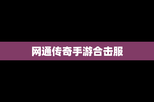 网通传奇手游合击服