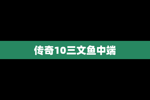 传奇10三文鱼中端
