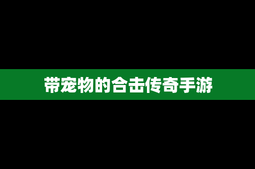 带宠物的合击传奇手游