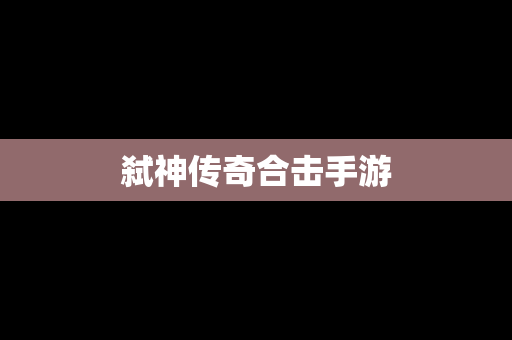 弑神传奇合击手游