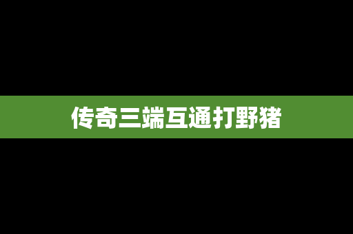 传奇三端互通打野猪
