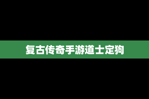 复古传奇手游道士定狗